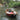 How to Cast a Fly Rod