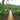 Umstead State Park