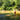 Cool Fun in the Summertime: Triad