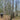 This week, GetHiking! after work at Haw River, Umstead