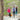 Three Paved Greenways in the Piedmont