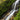 Celebrate the Mountains-to-Sea Trail's 42nd birthday on a hike in the Mountains or at the Coast