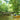 SOS! Save Our Summer, with a cool paddle on a Piedmont waterway near you