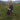 Thru-hiking the Appalachian Trail: Susan Levy