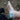 Blisters & Trail Angels