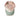 Goorin Bros. Goorin Bros Randy Souse Hungover Flamingo Git trucker hat