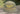 Great Outdoor Provision Co. GOPC Script Nylon Hat