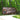 Kings Mountain State Park Camping