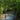 North Mills River