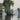 Great Dismal Swamp National Wildlife Refuge