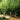 GetHiking! for fitness at Crowders Mountain, GetExploring! on a Greenville greenway