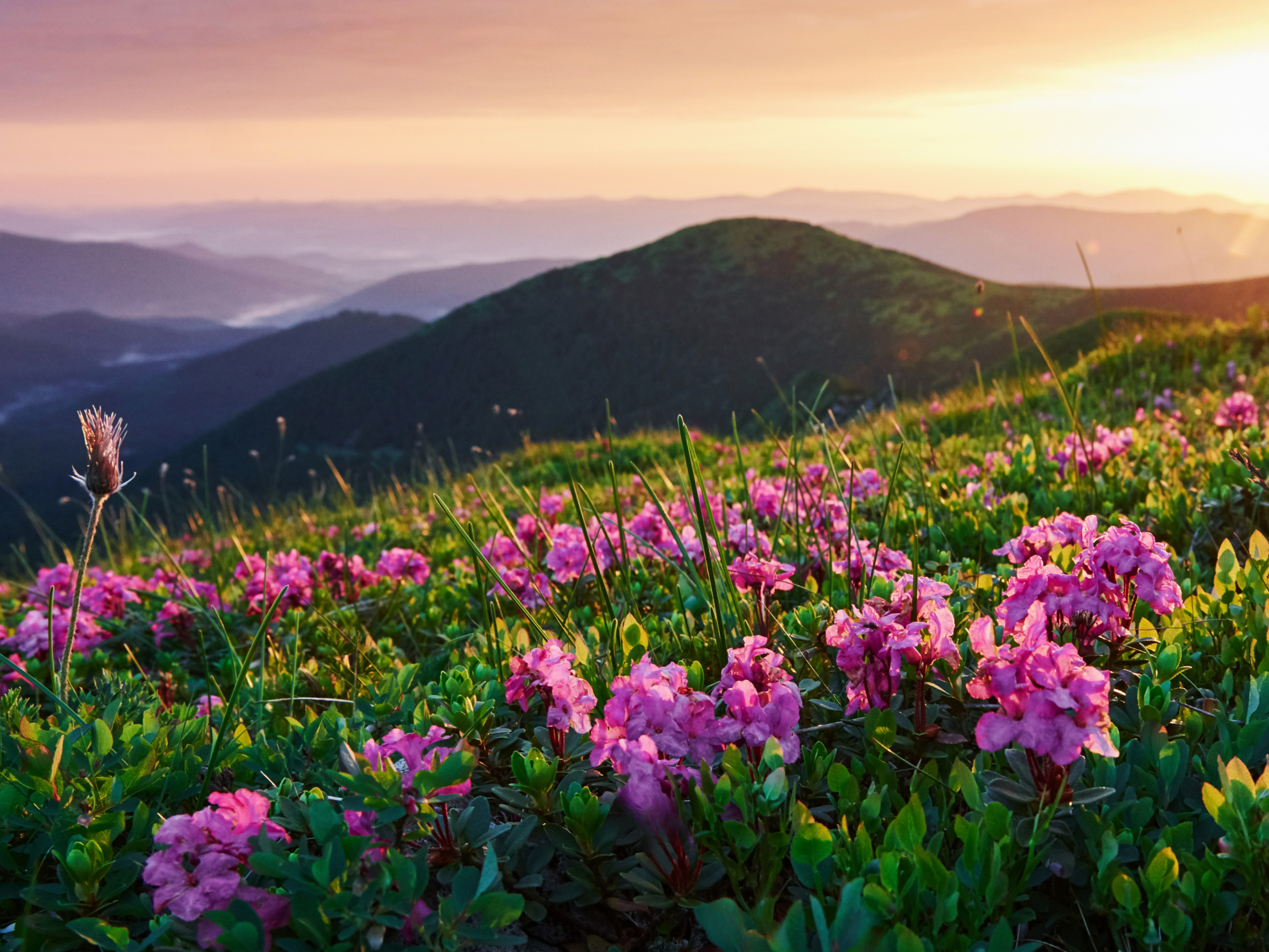 Spring Arrivals for Her – Great Outdoor Provision Co.