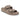 Birkenstock Arizona Big Buckle Eva Gray Taupe