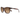 Suncloud Optics Sashay Tortoise | Polarized Brown Gradient