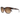 Suncloud Optics Affect Tortoise | Polarized Brown Gradient