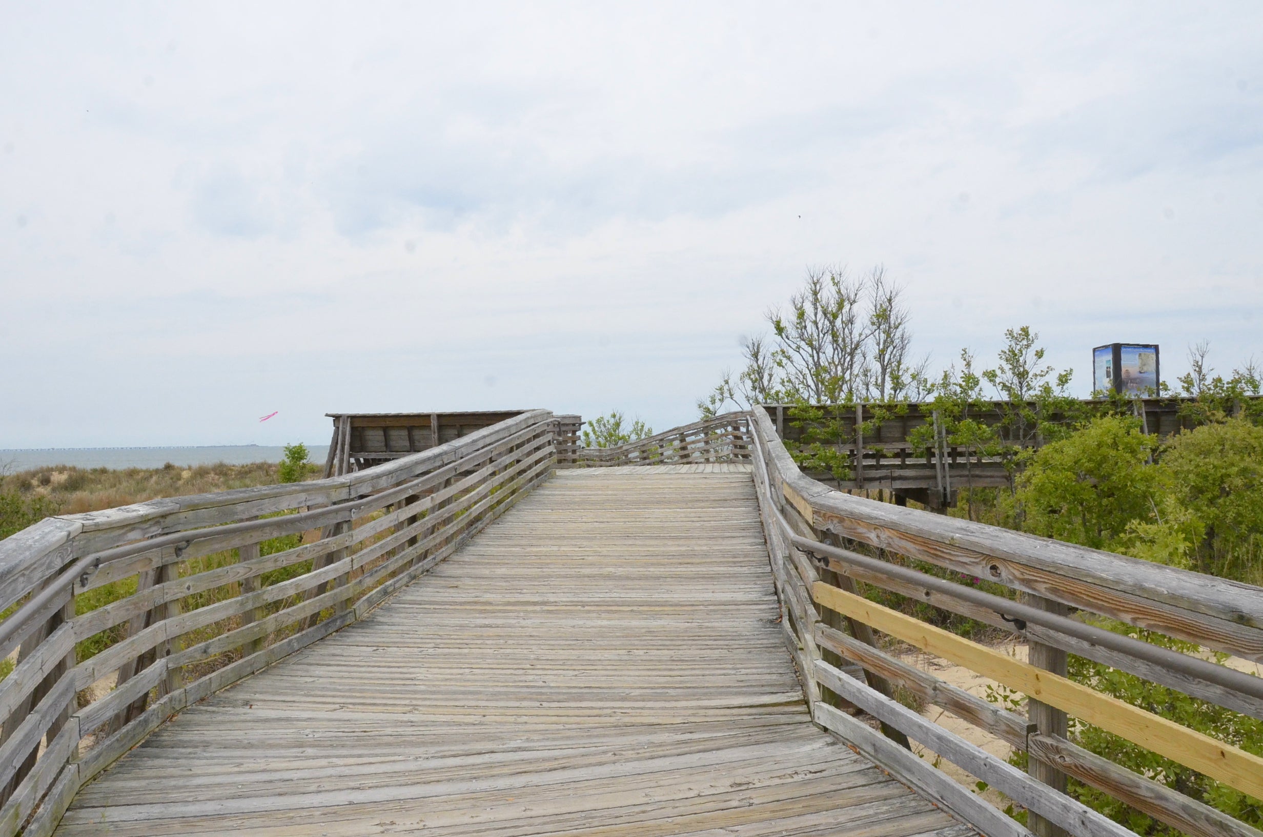 Spring & Summer Season – Great Outdoor Provision Co.