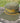 Great Outdoor Provision Co. C’Ville Charlottesville Virginia Nylon Script Hat Loden/Gold
