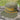 Great Outdoor Provision Co. C’Ville Charlottesville Virginia Nylon Script Hat Loden/Gold