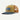Patagonia P 6 Logo Trucker Hat Lynx Tan
